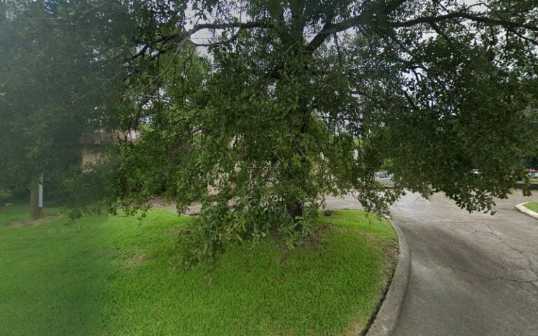 Feature image