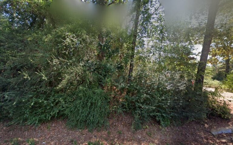 Feature image