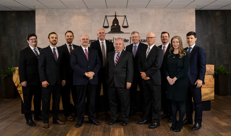 46390 hayes berry white vanzant llp