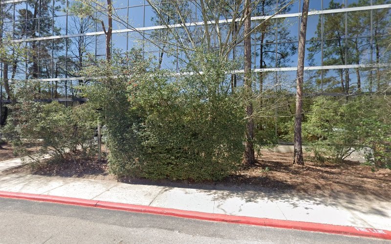 49519 kean miller llp