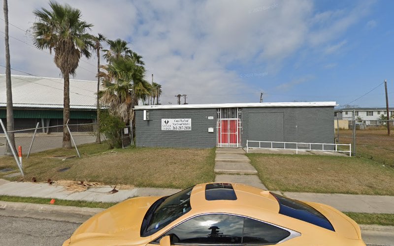 53429 law offices of laura allison ramos