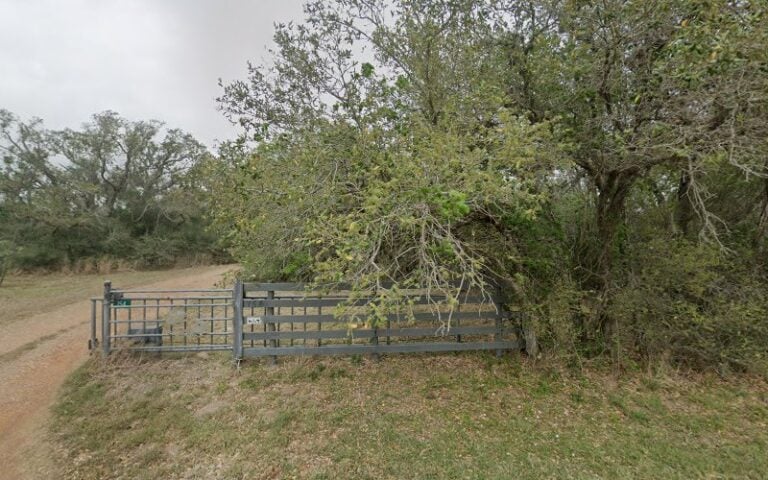 Feature image