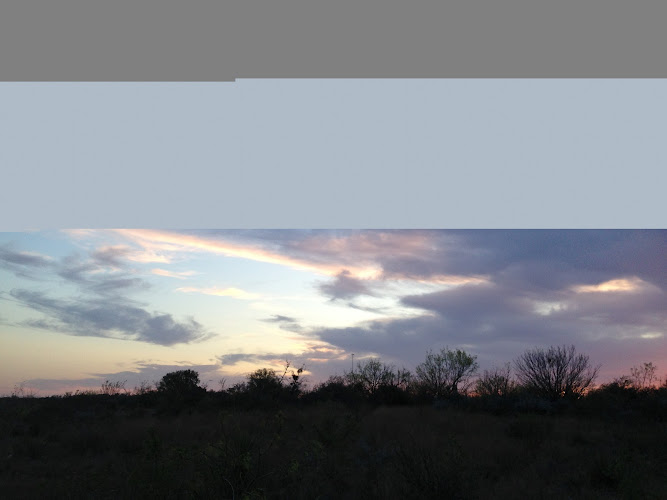 Feature image
