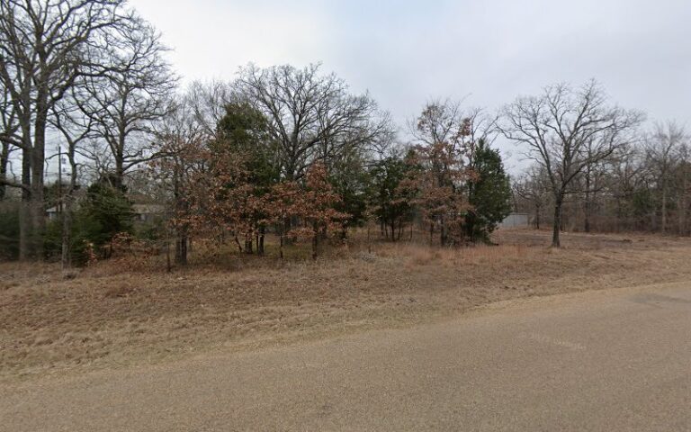 60924 salzman salzman 768x480