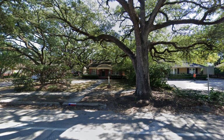 62250 snow joellen 768x480