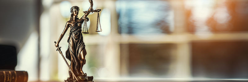 64231 the haslam law firm pllc