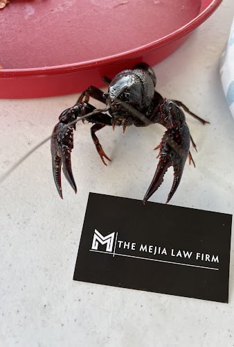 65889 the mejia law firm pllc