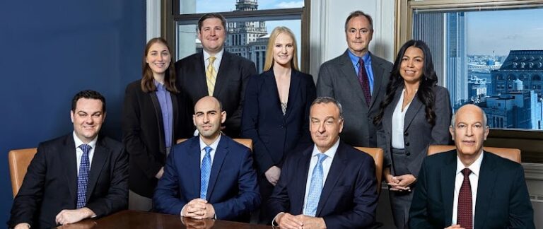 69199 【黎保利】律师事务所 caesar napoli spivak 768x324