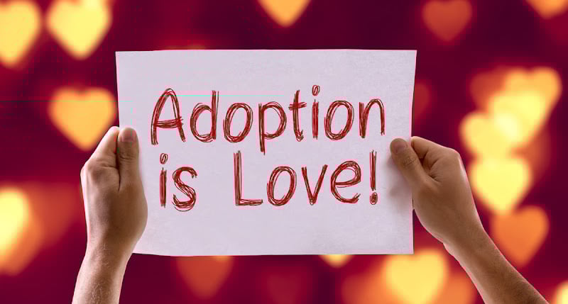 73131 adoption law center pllc