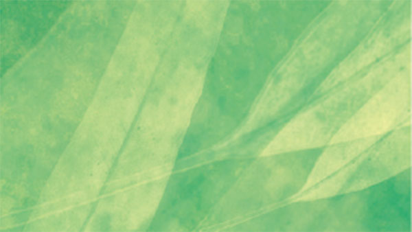 Feature image