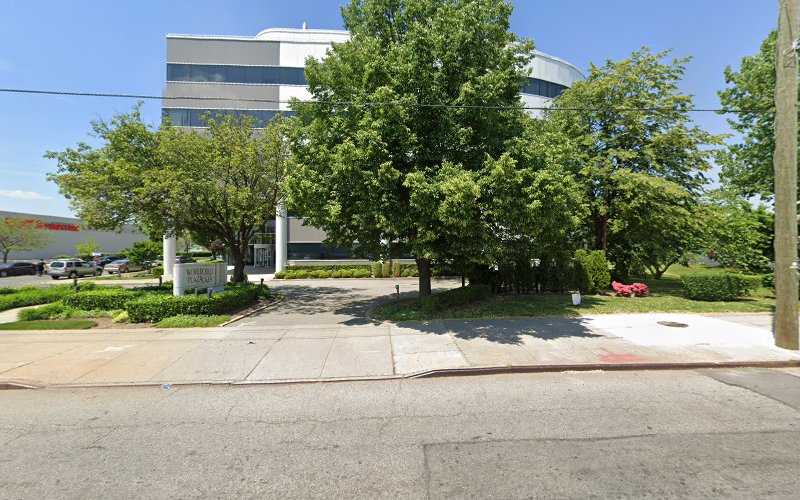 74971 albert chan law offices