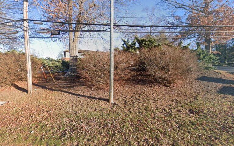 75950 alexis crow law 768x480