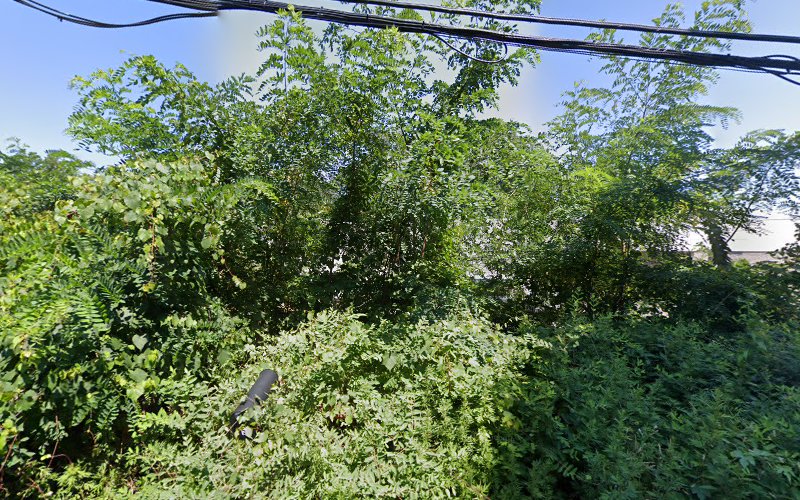 77358 alon solon llc
