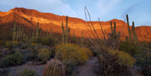 Feature image