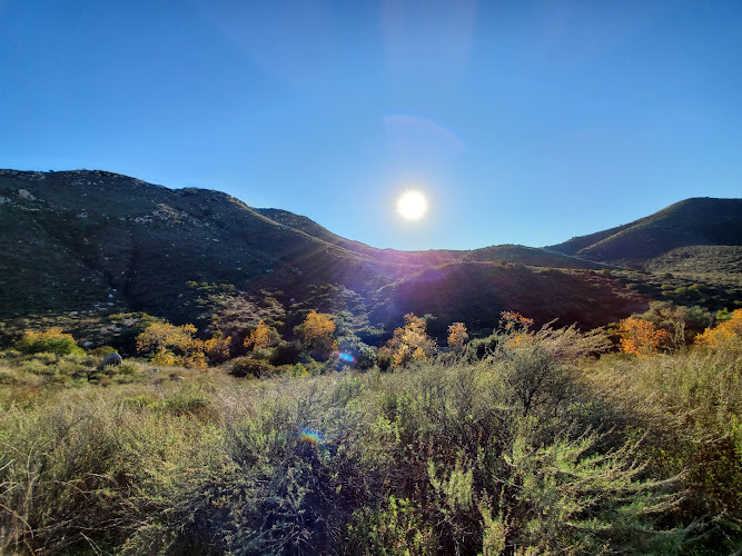 Feature image