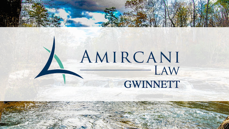 78585 amircani law 8211 gwinnett county