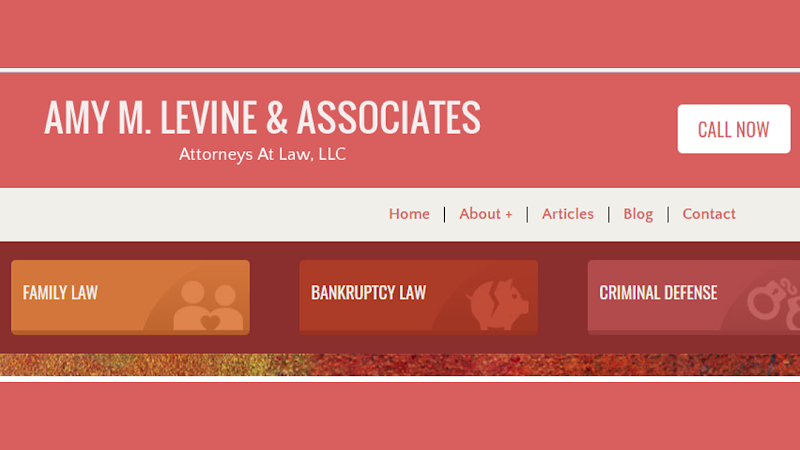 78882 amy m. levine associates attorneys at law llc