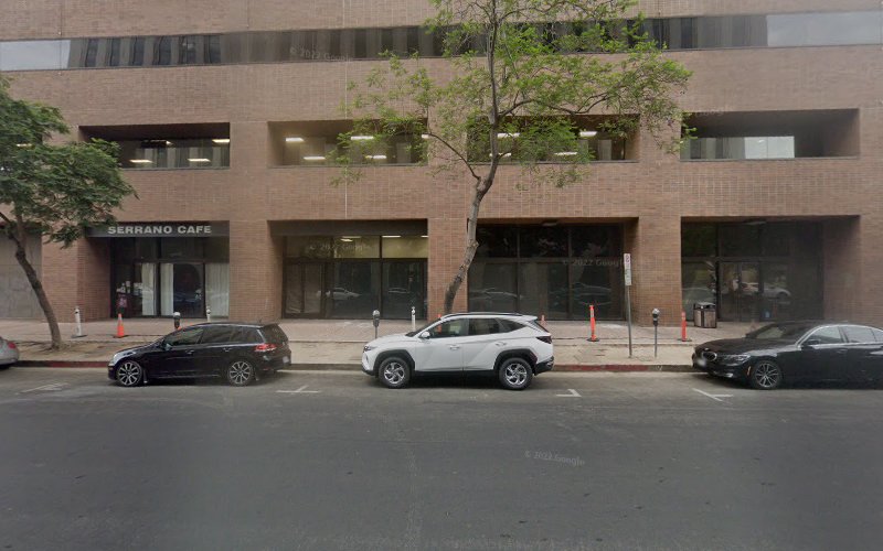 83569 armstrong sigel law offices