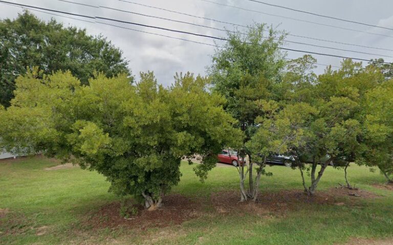 Feature image