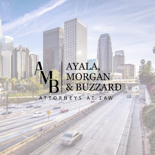 88797 ayala morgan buzzard