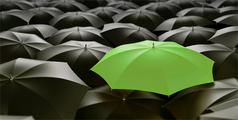 92400 barnes walker attorneys in bradenton