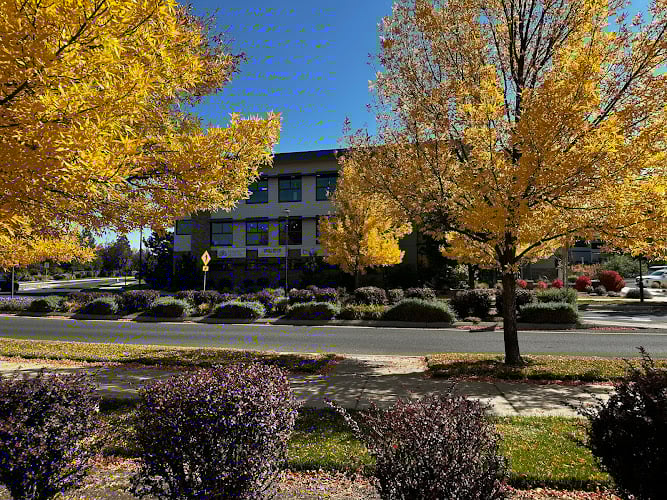 Feature image