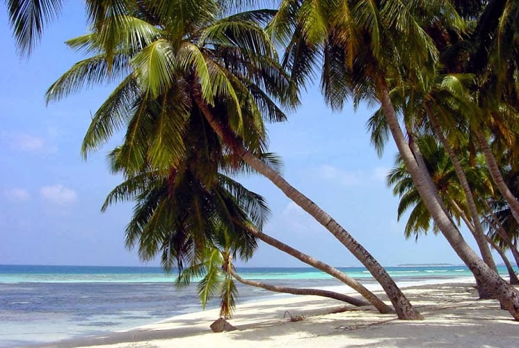 396023 snowbirdslegal