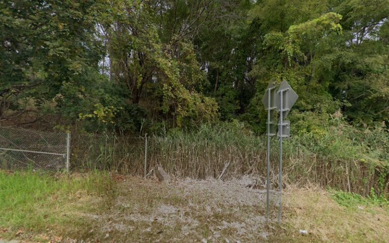 396694 solomon solomon pc 768x480