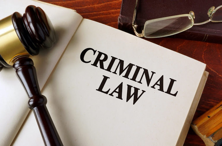 397393 south florida trial lawyers