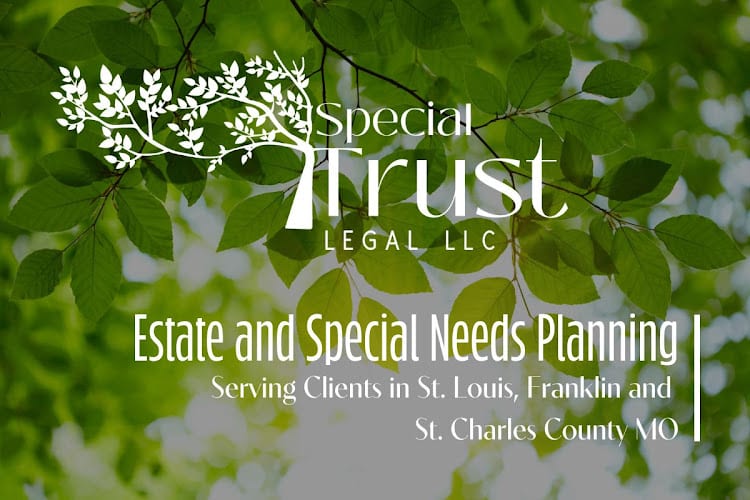 398029 special trust legal llc