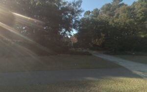 Feature image