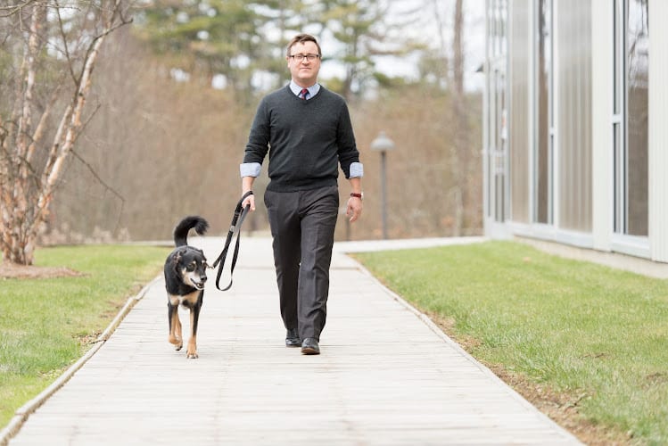 400941 steffans legal 8211 the employment law firm