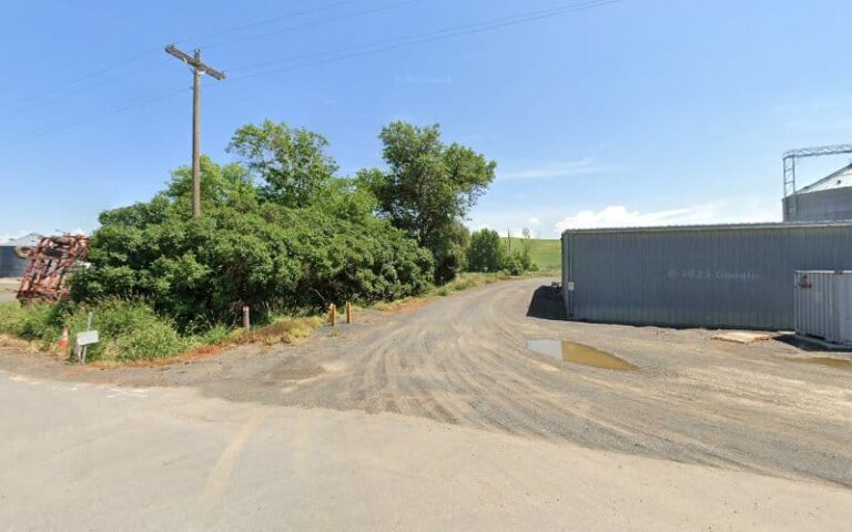 402578 steptoe specialty crop process 768x480