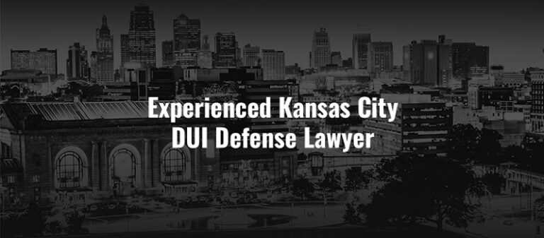 402989 steve schanker attorney at law 768x337