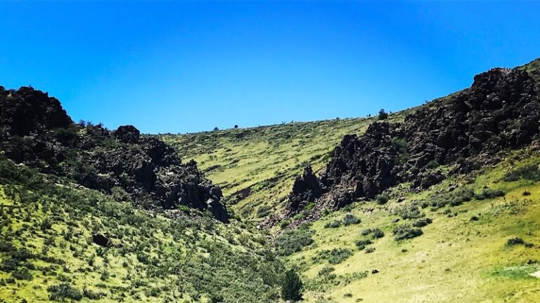 403669 steven m. jackson law group llc 768x432