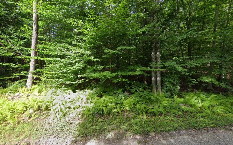 404089 stevenson deborah 768x480