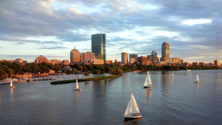 407455 susan a. bernstein attorney at law 768x432