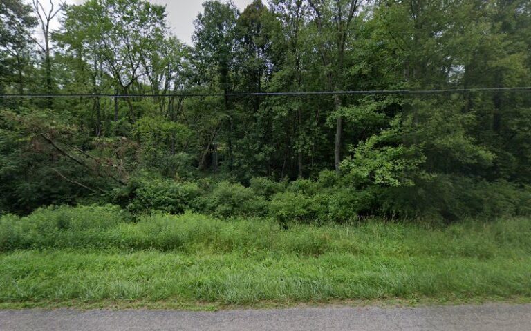 407466 susan amidon 8211 aflac insurance agent 768x480