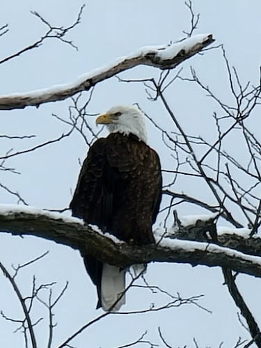 407587 susan g. parker law associates pc