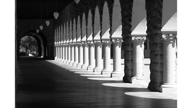 408313 swanson warcup ltd 768x432