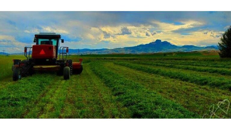 409407 taggart law llc 768x432