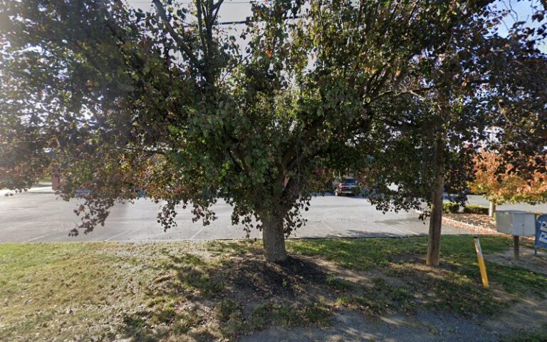 409773 tammy mcwilliams 768x480