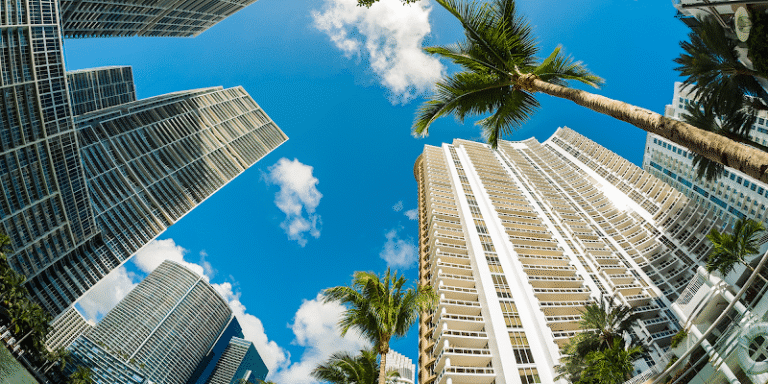 409956 tannenbaum lemole hill 768x384