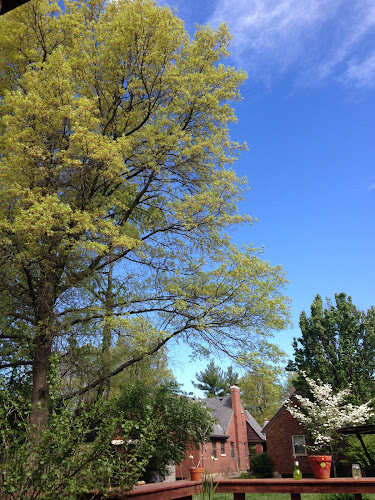 410321 tate tate attorneys llc