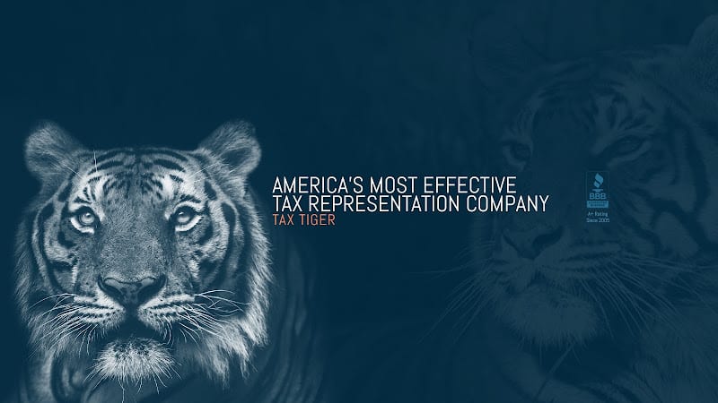 410781 tax tiger bay area