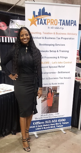 410871 taxpro of tampa
