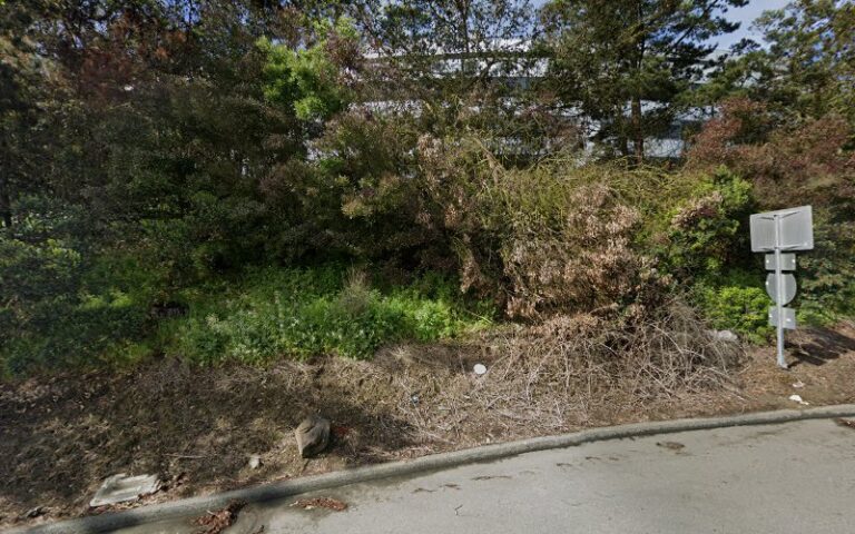 411562 ted laguatan associates 768x480