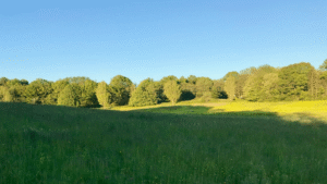 Feature image