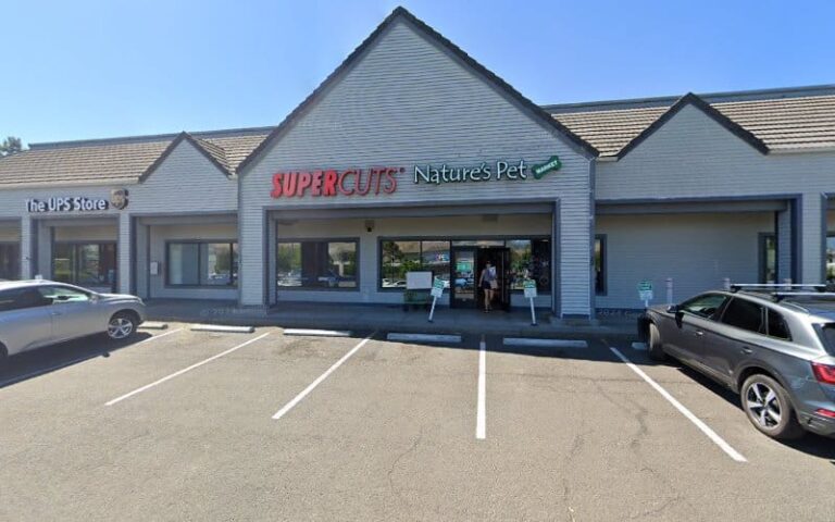 412378 terry kolkey law office 768x480