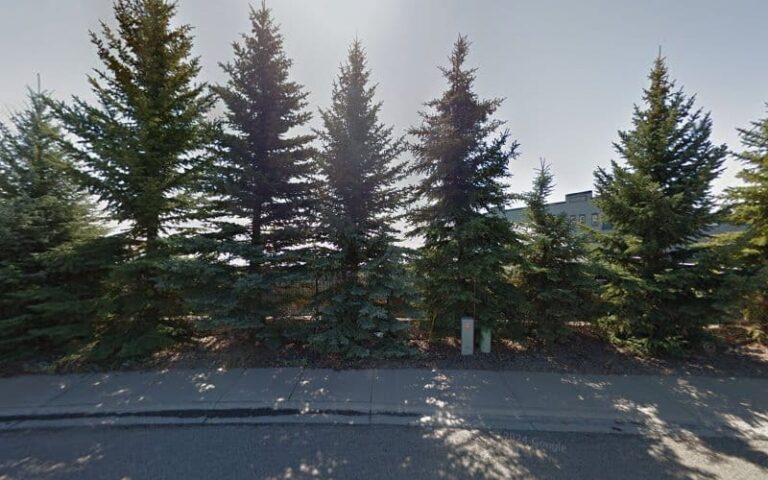 413150 the alliance of idaho 768x480